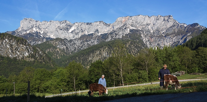 Von unserem Bauernhof - Der Blick auf den Untersberg